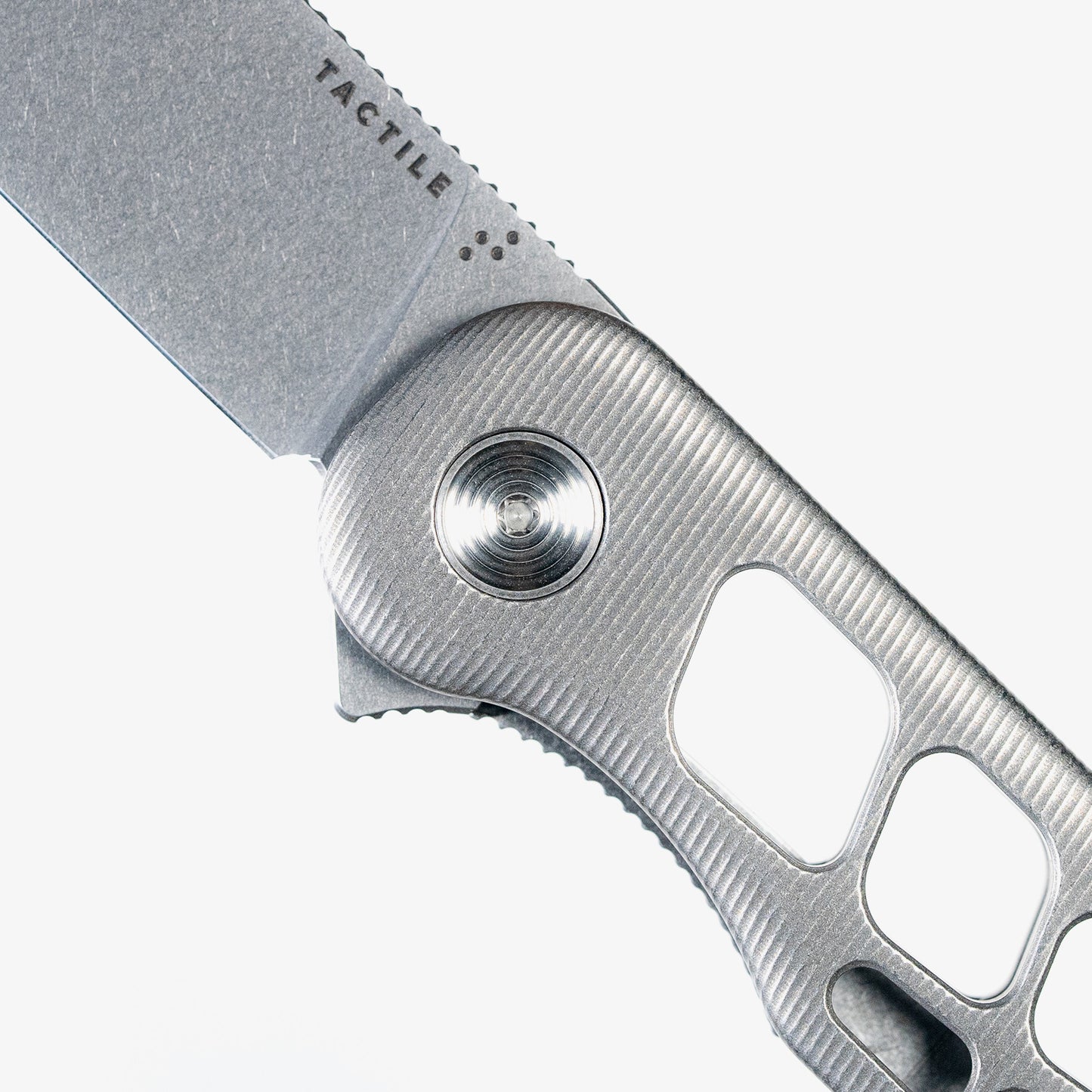 Skeletonized Rockwall Flipper